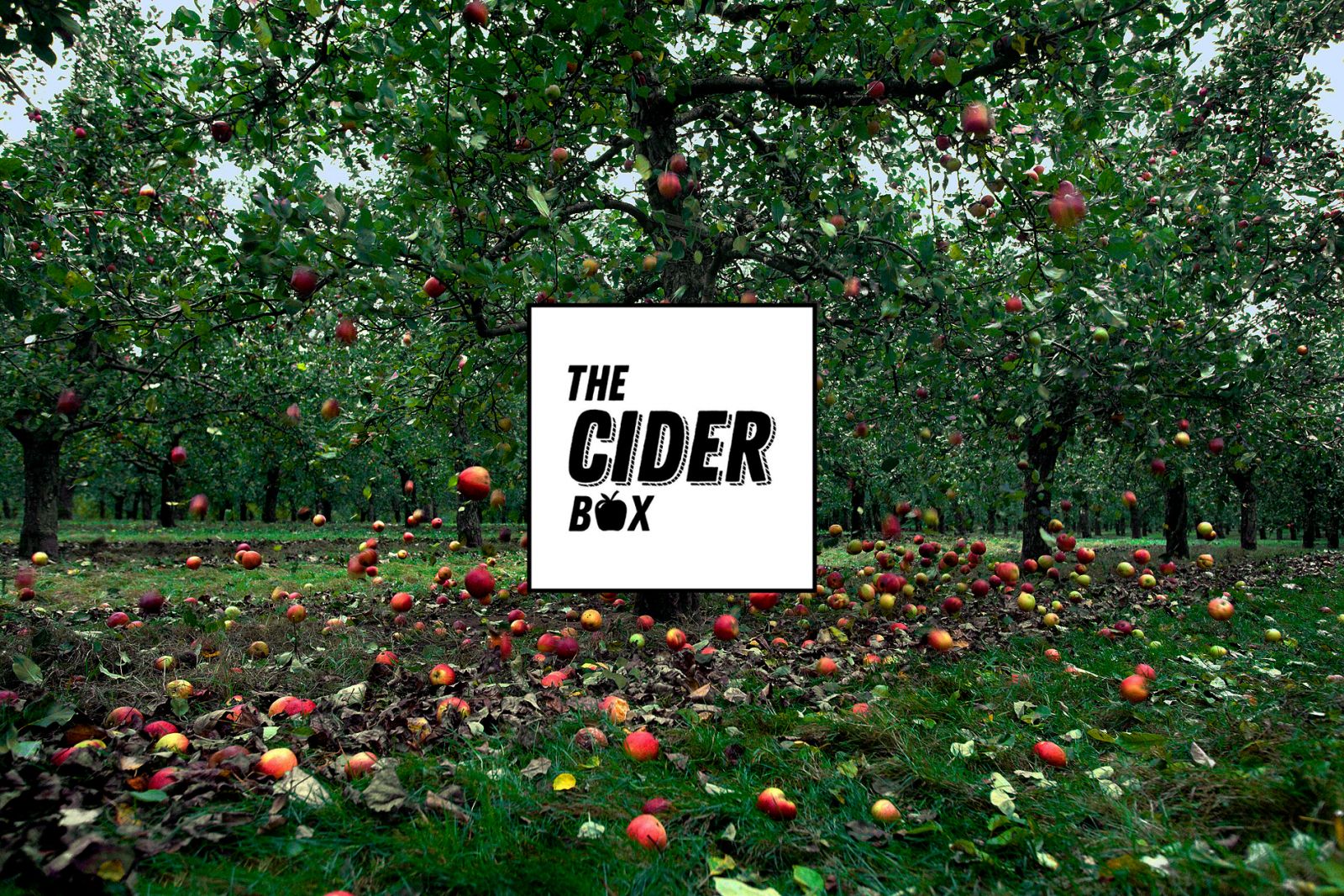The Cider Box are delivering to Bristol & Bath postcodes for a limited time